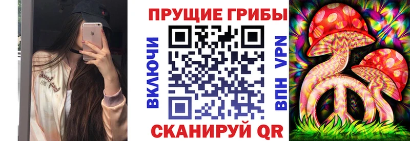 где купить наркотик  Люберцы  Псилоцибиновые грибы Psilocybine cubensis 