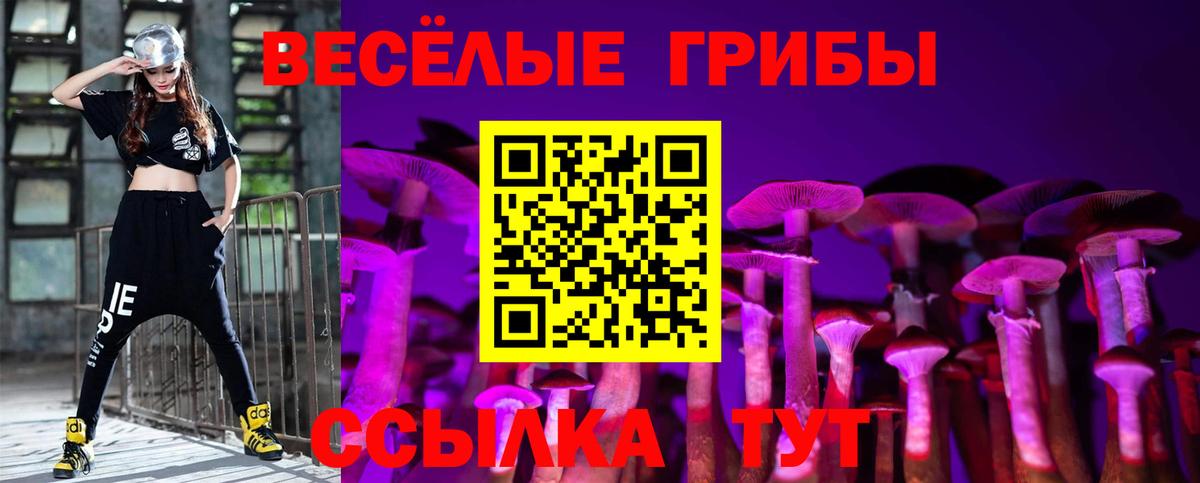 Псилоцибиновые грибы прущие грибы  Вход с VPN  Люберцы 